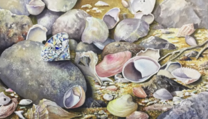 watercolor painting of a jewel on a blanket of sea shells