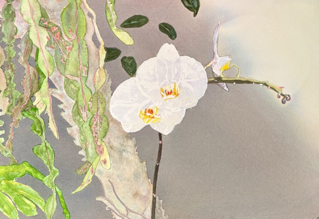 NPAF HAVONPAIROCT2027 Turner Watercolor